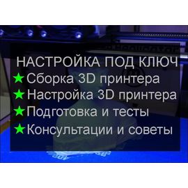  Услуга 3D принтер под ключ (сборка, настройка, запуск) tm09520 купить в твоимодели.рф
